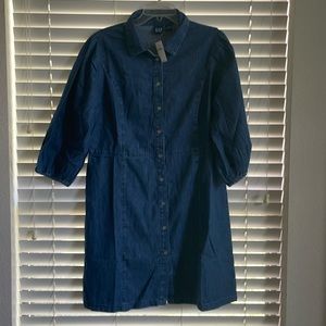 Gap - Organic Cotton Puff Sleeve Denim Mini Dress  size L   *new